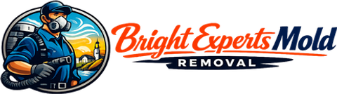 Bright Experts Mold Removal
